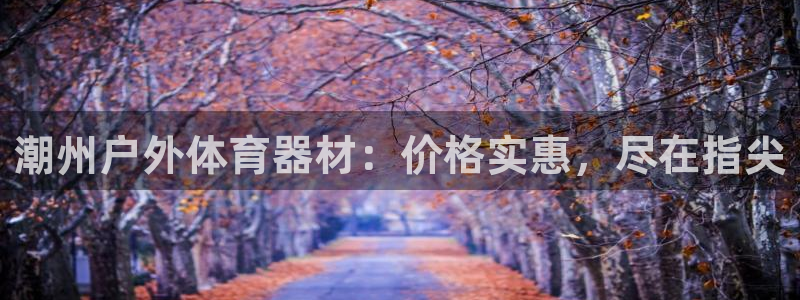 尊龙人生就是博网站下载：潮州户外体育器材：价格实惠，