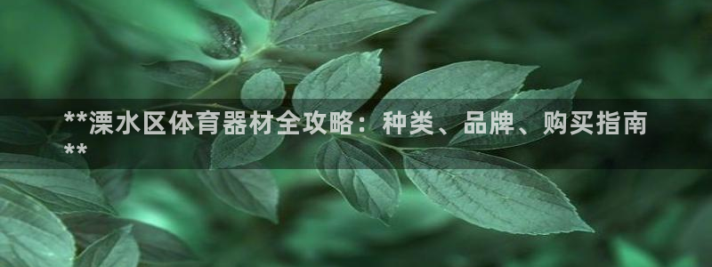 尊龙人生就是博电脑版：**溧水区体育器材全攻略：种类