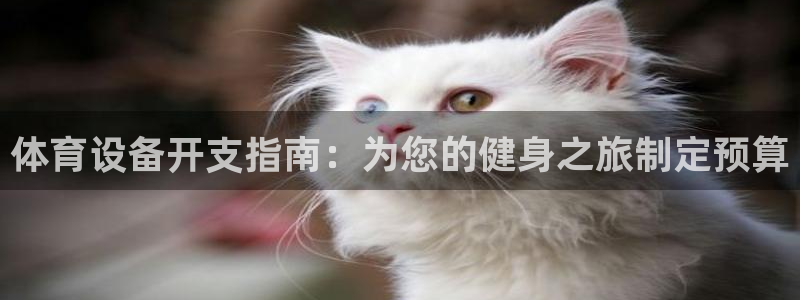 凯时官网手机版下载：体育设备开支指南：为您的健身之旅