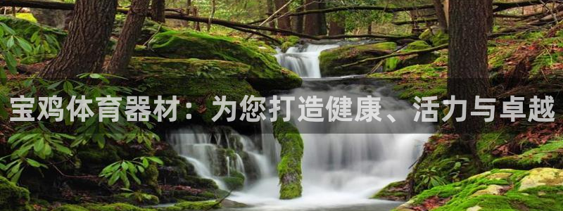 尊龙目前在哪：宝鸡体育器材：为您打造健康、活力与卓越
