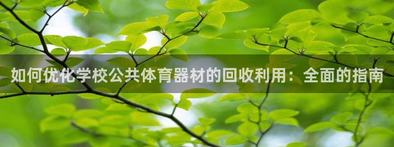 凯时app赢AG发财网来就送38：如何优化学校公共体