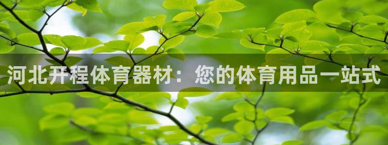 尊龙一人生就是博电子游戏：河北开程体育器材：您的体育