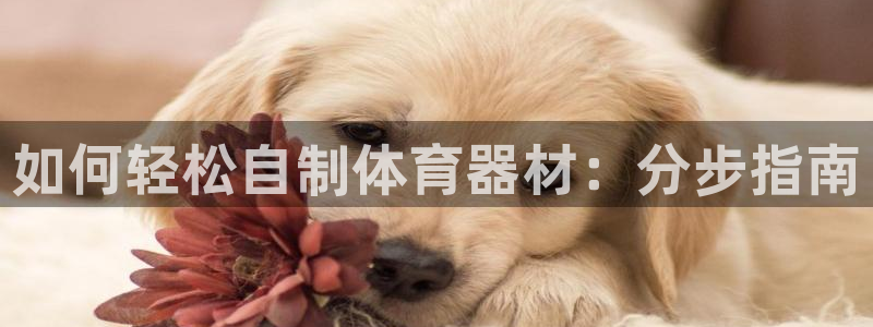 尊龙AG旗舰厅官网：如何轻松自制体育器材：分步指南