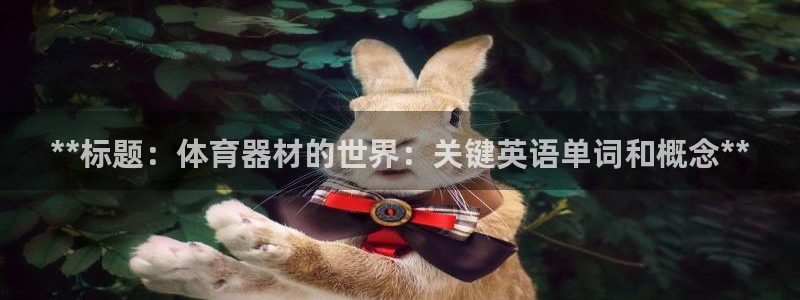 尊龙凯时这个平台怎么样：**标题：体育器材的世界：关