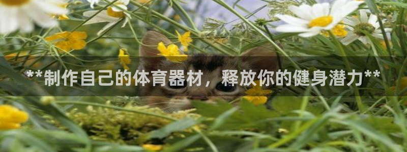 尊龙d88官网去来就送38：**制作自己的体育器材，