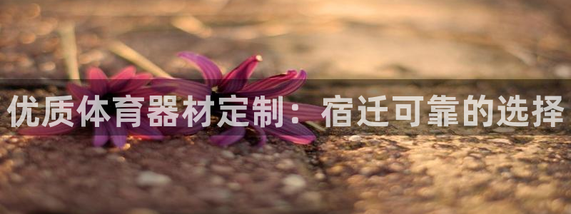 尊龙实业有限公司是正规还是仿：优质体育器材定制：宿迁