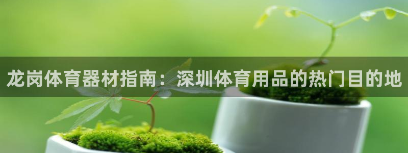 尊龙2021年最新消息：龙岗体育器材指南：深圳体育用