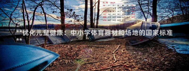 尊龙旗舰店：**优化儿童健康：中小学体育器材和场地的