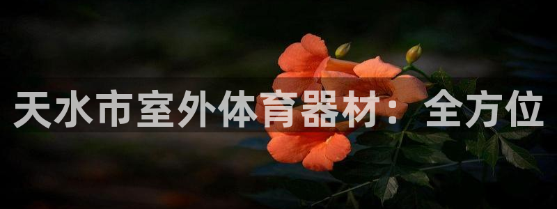 kb88凯时SO权威AG发财网：天水市室外体育器材：