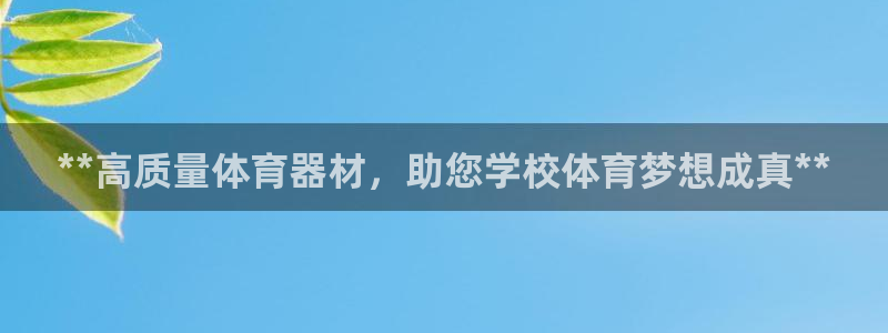 尊龙t300和t400哪个好：**高质量体育器材，助