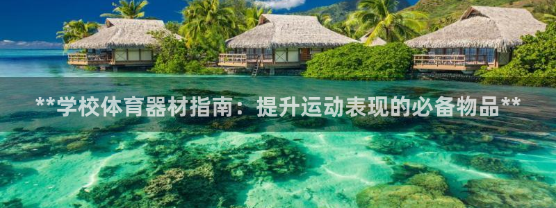 尊龙app|首选agdaohang：**学校体育器材