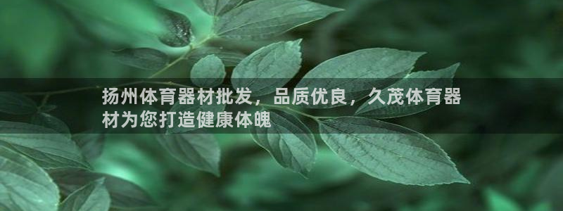 尊龙凯时人生就是搏!平台：扬州体育器材批发，品质优良