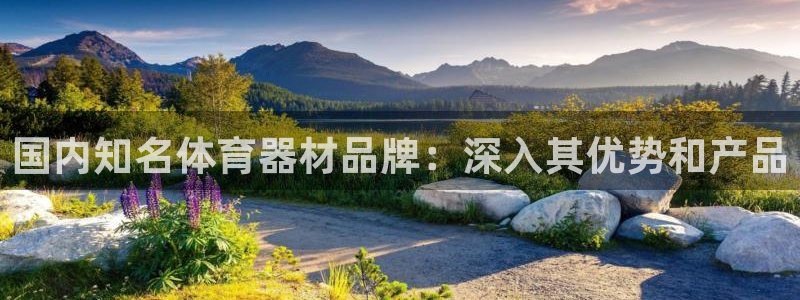 凯时网址多少：国内知名体育器材品牌：深入其优势和产品