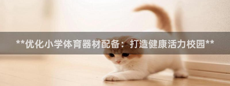 尊龙凯时网：**优化小学体育器材配备：打造健康活力校