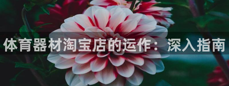尊龙凯时泰安：体育器材淘宝店的运作：深入指南