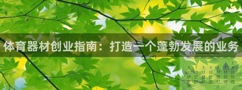 尊龙体育正规么：体育器材创业指南：打造一个蓬勃发展的