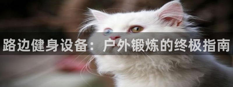 凯时官网联系方式：路边健身设备：户外锻炼的终极指南