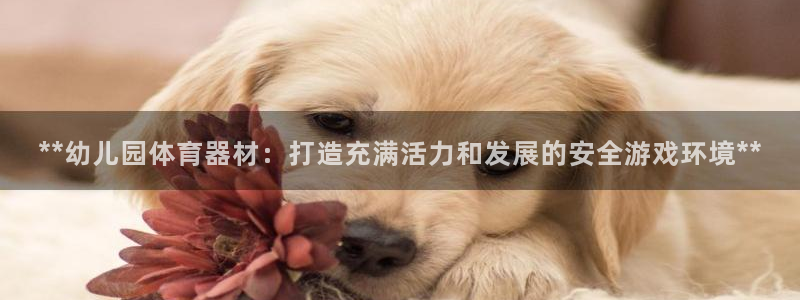 尊龙凯时和九游会哪个平台好一点：**幼儿园体育器材：