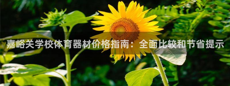 尊龙凯时官网版登录：嘉峪关学校体育器材价格指南：全面