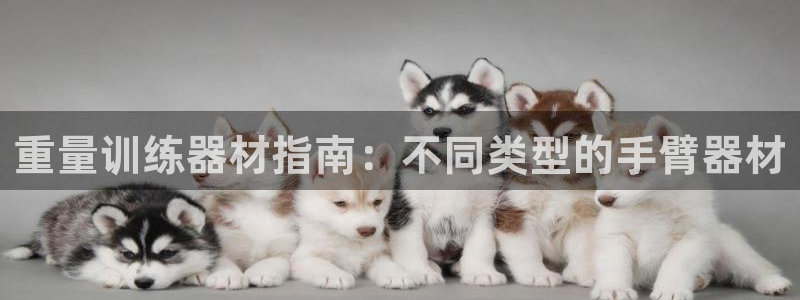 下载尊龙：重量训练器材指南：不同类型的手臂器材