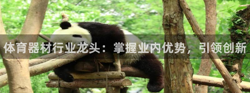 尊龙凯时城娱乐：体育器材行业龙头：掌握业内优势，引领