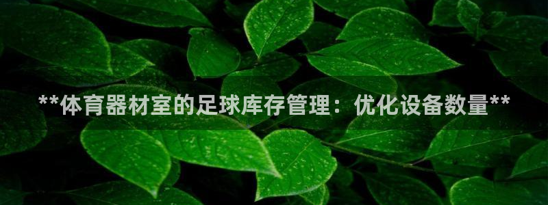 尊龙网站人生就是博：**体育器材室的足球库存管理：优