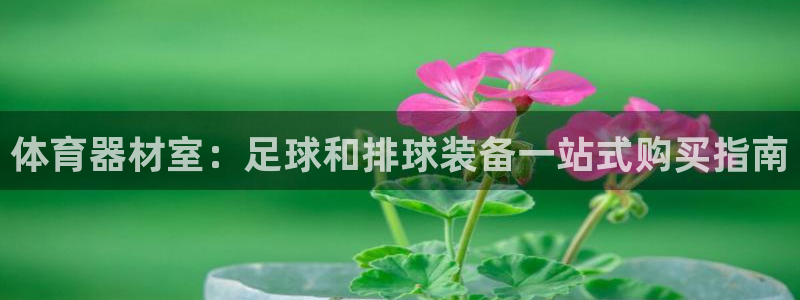 尊龙凯时d3563：体育器材室：足球和排球装备一站式