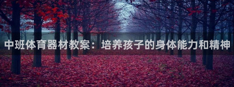 Z6尊龙老版：中班体育器材教案：培养孩子的身体能力和