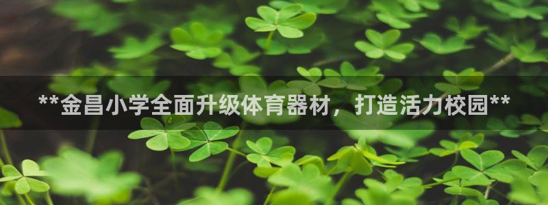 尊龙z6.con：**金昌小学全面升级体育器材，打造