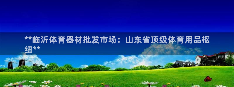 尊龙官网国际：**临沂体育器材批发市场：山东省顶级体