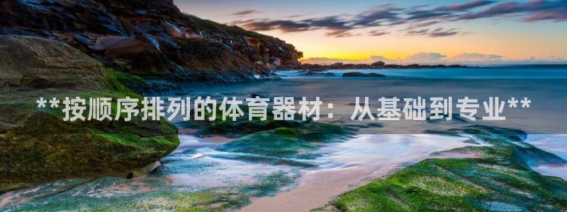 尊龙注册码：**按顺序排列的体育器材：从基础到专业*