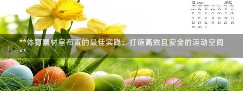 尊龙凯时是哪个国家的：**体育器材室布置的最佳实践：