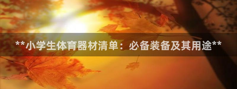 尊龙凯时推荐人：**小学生体育器材清单：必备装备及其