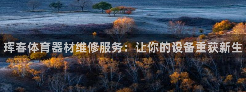 尊龙凯时 人生就是搏!：珲春体育器材维修服务：让你的