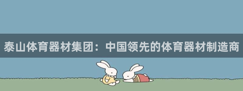 凯时ag旗舰厅登录：泰山体育器材集团：中国领先的体育