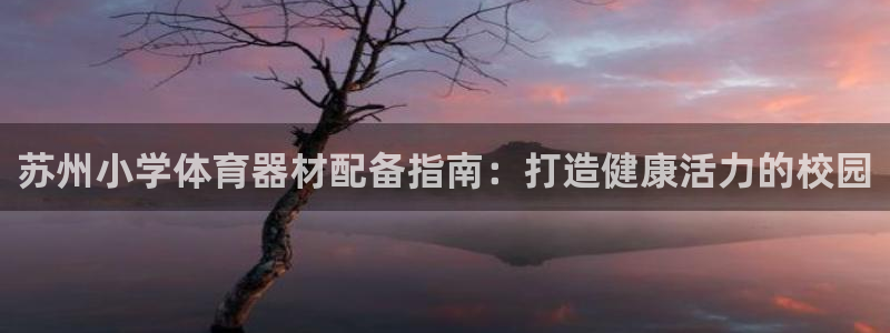 尊龙现金推荐ag发财网：苏州小学体育器材配备指南：打