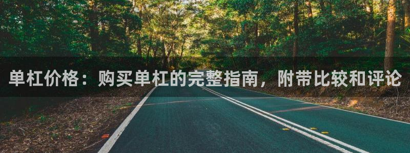 尊龙凯时 人生就是搏!：单杠价格：购买单杠的完整指南