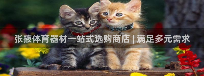 尊龙凯时有限公司：张掖体育器材一站式选购商店 | 满