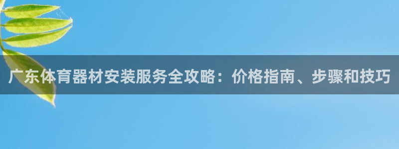 尊龙凯时人生就是搏平台：广东体育器材安装服务全攻略：