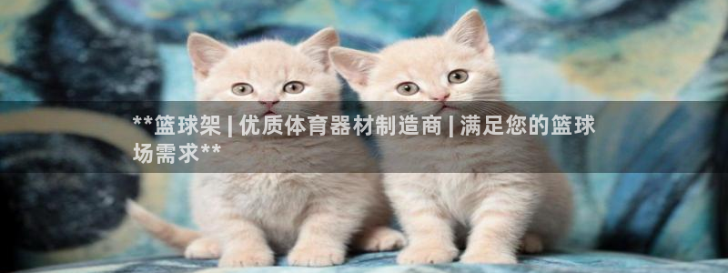 尊龙集团有限公司官网：**篮球架 | 优质体育器材制