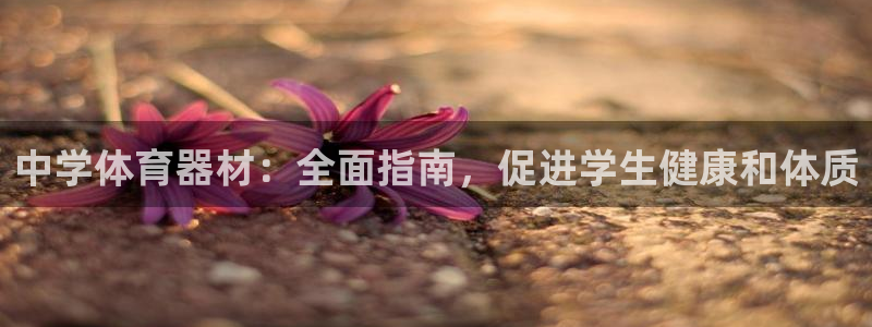 尊龙网平台：中学体育器材：全面指南，促进学生健康和体