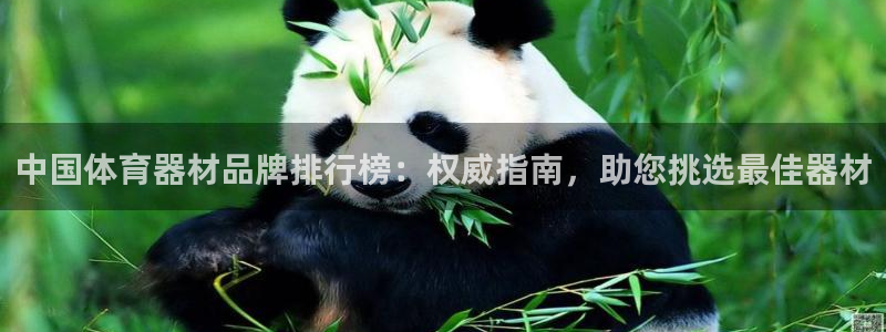 尊龙凯时处理未到账：中国体育器材品牌排行榜：权威指南