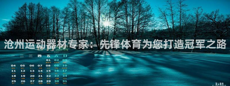 尊龙人生就是博AG：沧州运动器材专家：先锋体育为您打