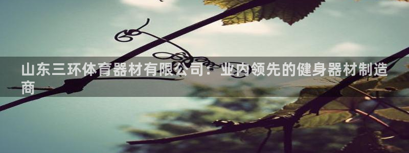 尊龙登录地址：山东三环体育器材有限公司：业内领先的健