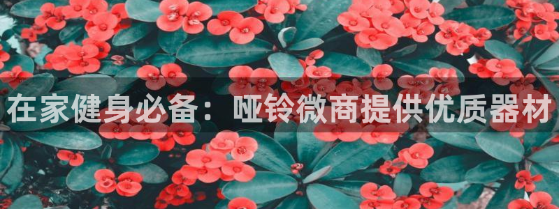 尊龙凯时有假么：在家健身必备：哑铃微商提供优质器材