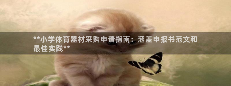 尊龙凯时白家乐：**小学体育器材采购申请指南：涵盖申