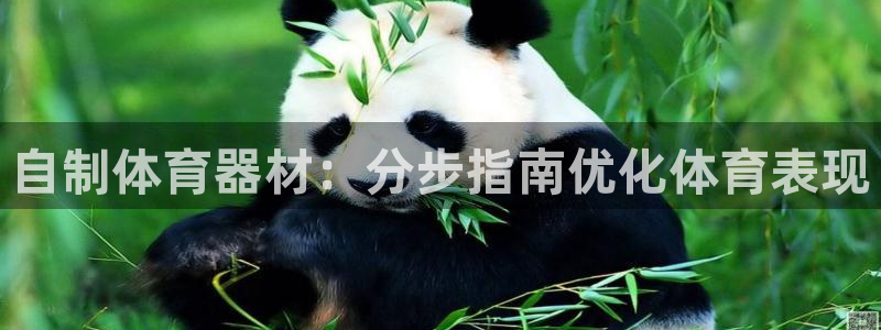 尊龙凯时总部在哪里：自制体育器材：分步指南优化体育表