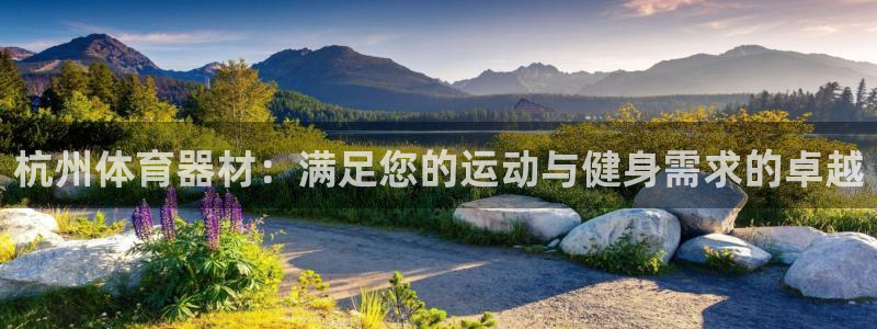 尊龙网站下分慢：杭州体育器材：满足您的运动与健身需求