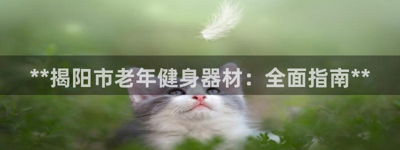 尊龙集团有限公司：**揭阳市老年健身器材：全面指南*