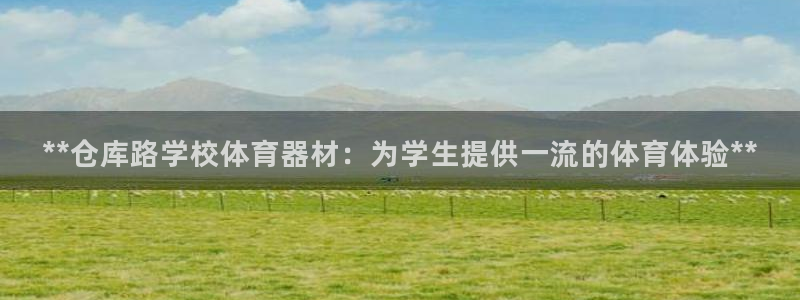 尊龙人生就是博AG旗舰厅：**仓库路学校体育器材：为